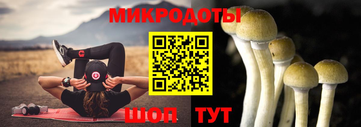 Галлюциногенные грибы Psilocybe  Вход с VPN  Чернушка  Галлюциногенные грибы прущие грибы 