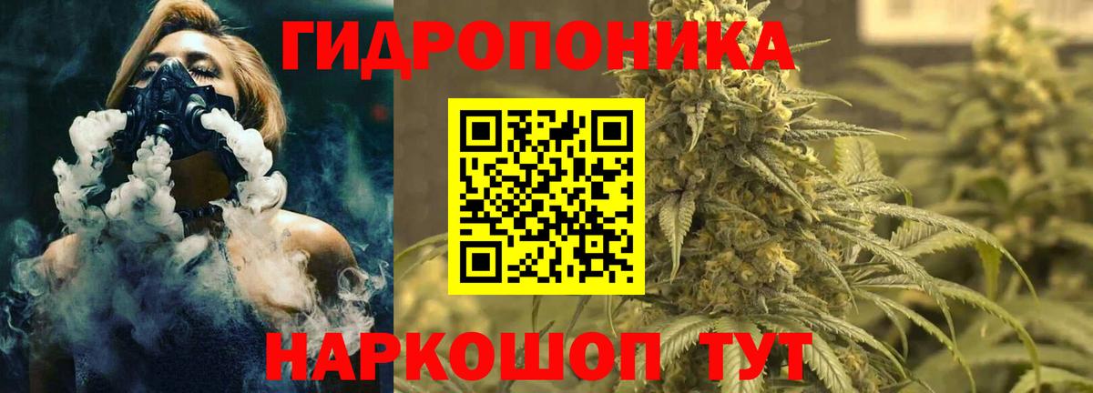 Бошки Шишки семена Чернушка
